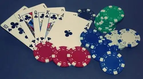 bet555
